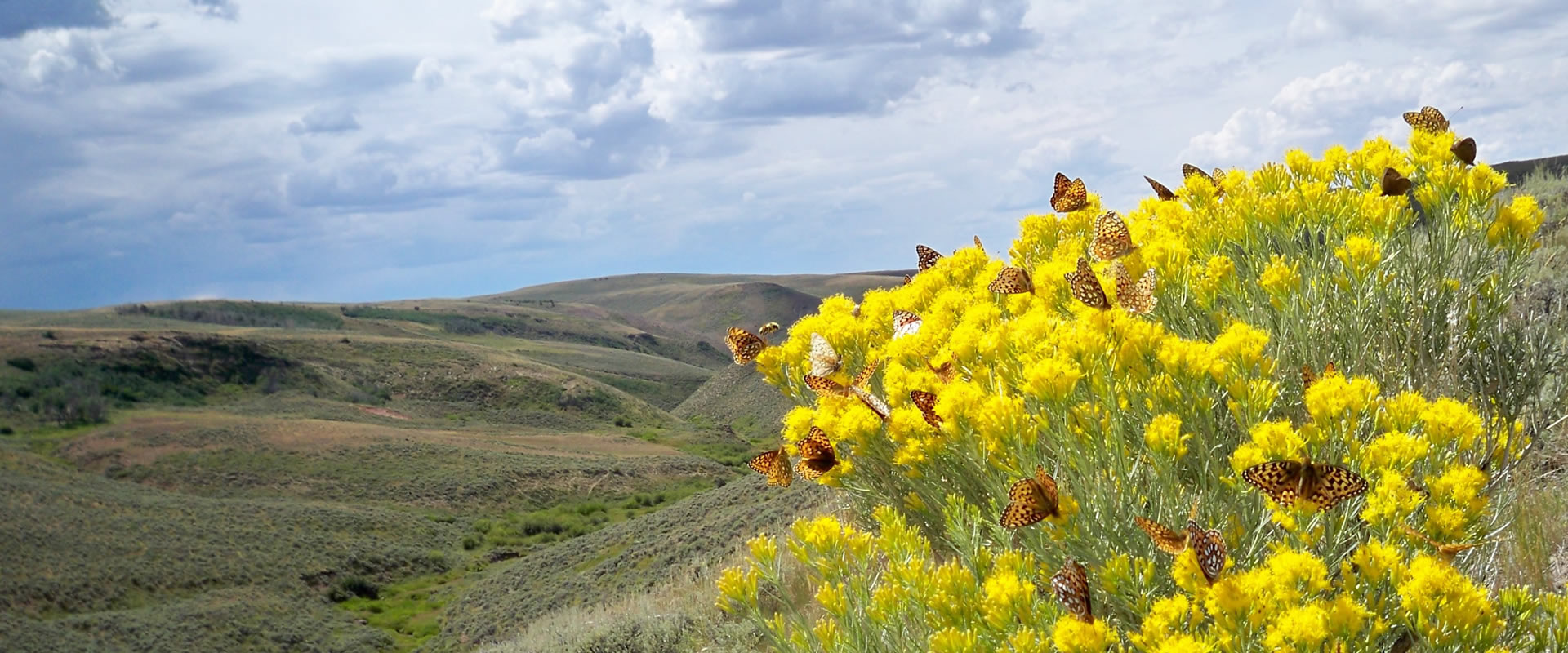 Carbon County Wyoming Real Estate